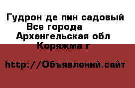 Гудрон де пин садовый - Все города  »    . Архангельская обл.,Коряжма г.